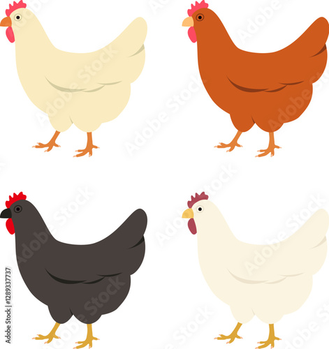 vector icon of hen or chicken of different colors. animal farm illustration. poultry meat and egg business. chicken bird symbol
