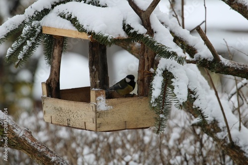 A great tit perches in a rustic wooden bird feeder covered in snow. A serene winter scene capturing nature and wildlife in harmony