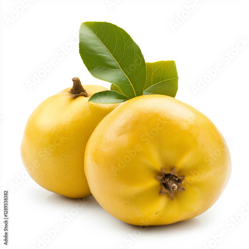 Quince Isolated on white Background