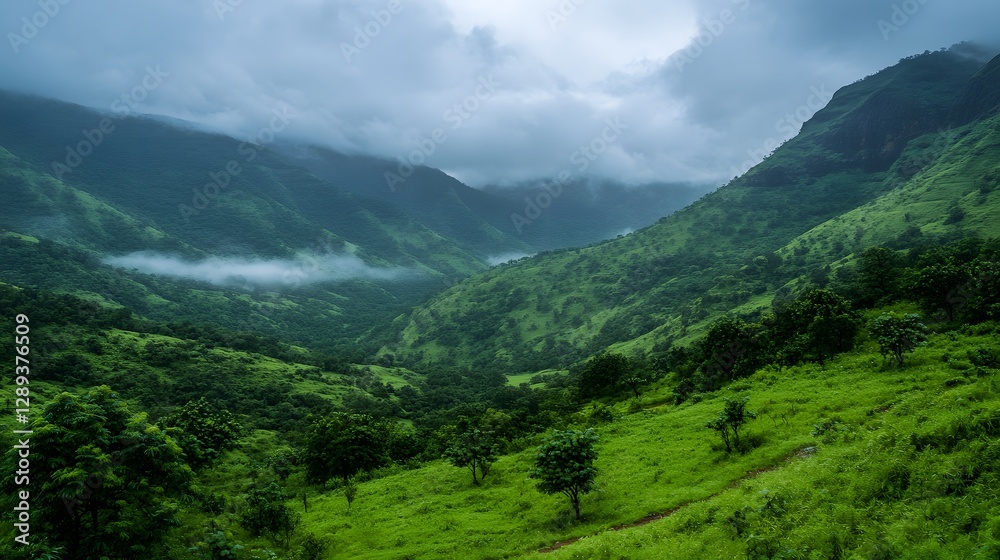 Fototapeta premium sunrise mountain range with mist rolling over the landscape