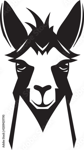 Llamas and Wonders The Secrets of the Andean Sky