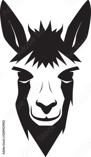 The Llama Trail Navigating Life  Paths