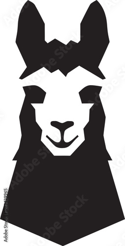 Llamas and Adventure Exploring New Horizons