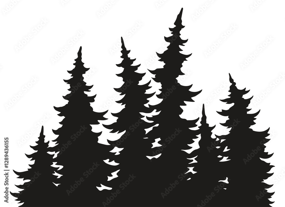 Fototapeta premium Evergreens silhouetted on a white backdrop