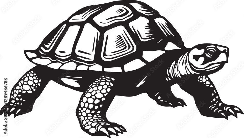 Fototapeta premium Tortoise Tracking Technology How Scientists Study Their Movements and Behaviors