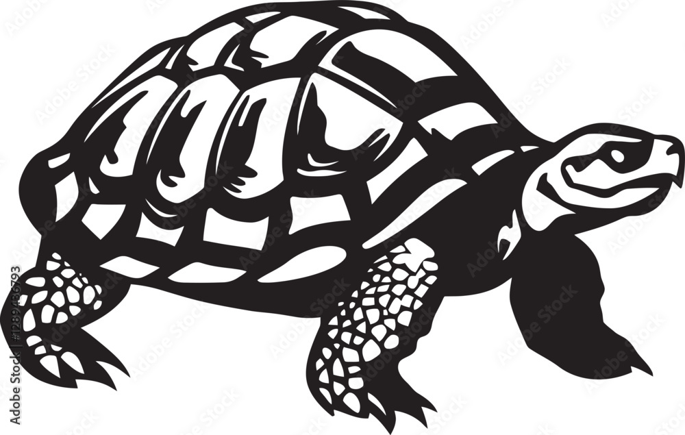 Fototapeta premium Tortoises in Art How Artists Have Captured Their Essence Through the Ages