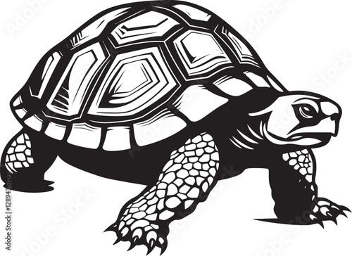 Tortoises and Climate Adaptation How These Reptiles Are Coping with Changing Environments