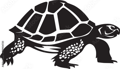 Tortoises and Their Habitats The Interconnectedness of Species and Ecosystems