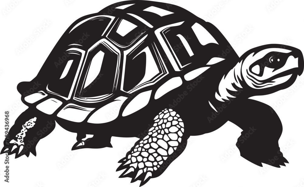 Fototapeta premium The Influence of Cultural Practices on Tortoise Conservation Traditions Beliefs and Change