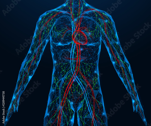 Human lymphatic vascular and circulatory system. Polygonal design of interconnected lines and dots. Blue background.