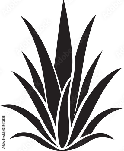 Aloe Vera as a Natural Remedy Debunking Myths and Misconceptions