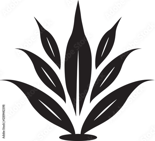 The Connection Between Aloe Vera and Antimicrobial Properties What Science Reveals