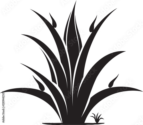 Aloe Vera A Natural Anti Aging Solution for Youthful Skin