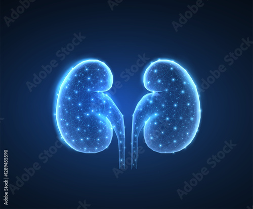 Kidney. Urological health, organ donation, medical technology, human anatomy