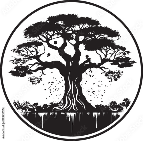 The Baobab Tree A Focus for Education  Research  and Conservation Initiatives
