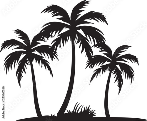 The Role of Beach Palm Trees in Climate Regulation Their Impact on Local Weather Patterns