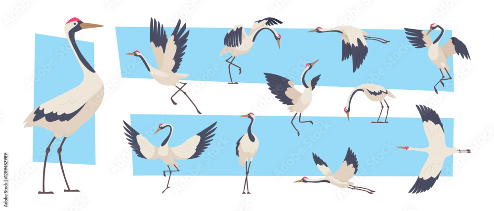 Fototapeta premium Stork. Flying crane birds collection exact vector asian wildlife creatures illustrations