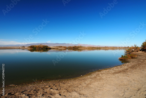 Wallpaper Mural Albufera de Rambla de Morales in Cabo de Gata, Provinz Almería, Autonome Gemeinschaft Andalusien, Spanien Torontodigital.ca