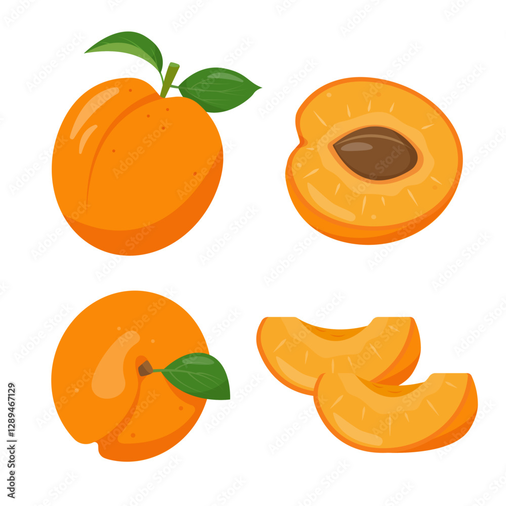 Fresh apricot fruits icons. Whole apricots, half apricot and pieces. Organic fruit for juice, smoothie or vitamin healthy food. Vector illustration isolated on white background. Fresh apricot fruits icons. Whole apricots, half apricot and pieces. Organic fruit for juice, smoothie or vitamin healthy food. Vector illustration isolated on white background.
