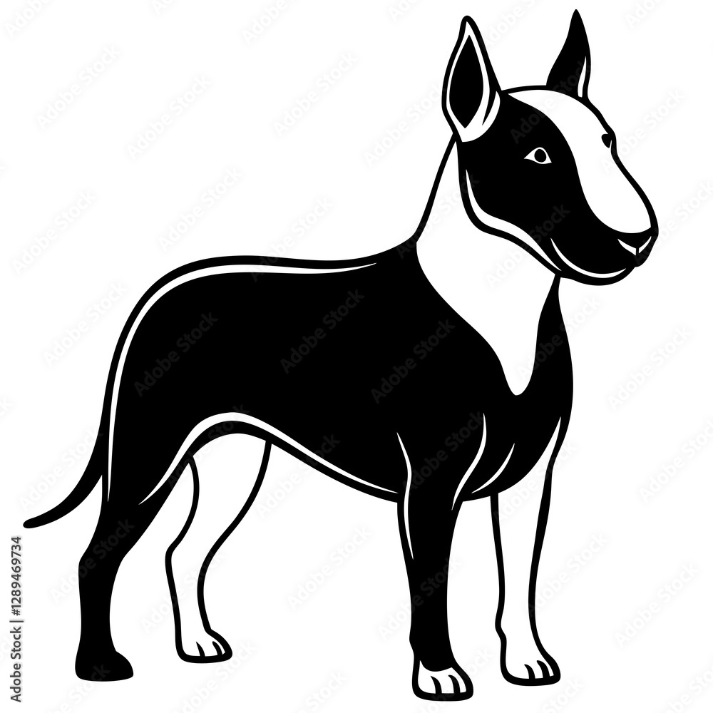 Bull Terrier Silhouette Vector on White Background Bull Terrier Silhouette Vector on White Background