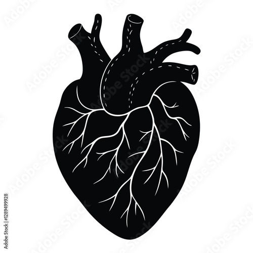 Anatomical heart illustration, black silhouette, white veins and arteries, stark contrast, medical diagram, detailed vascular system, 