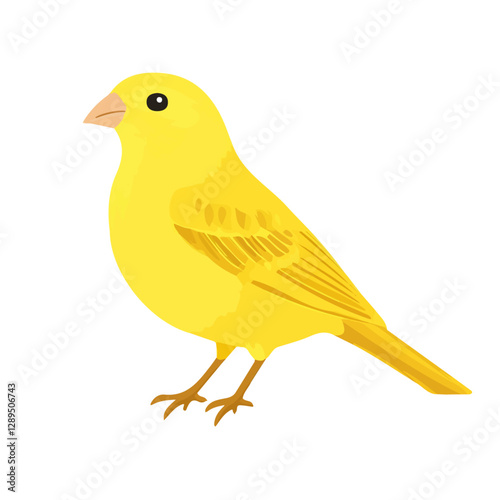 Minimalist flat illustration of Canary, featuring a clean design isolated on a white background.

