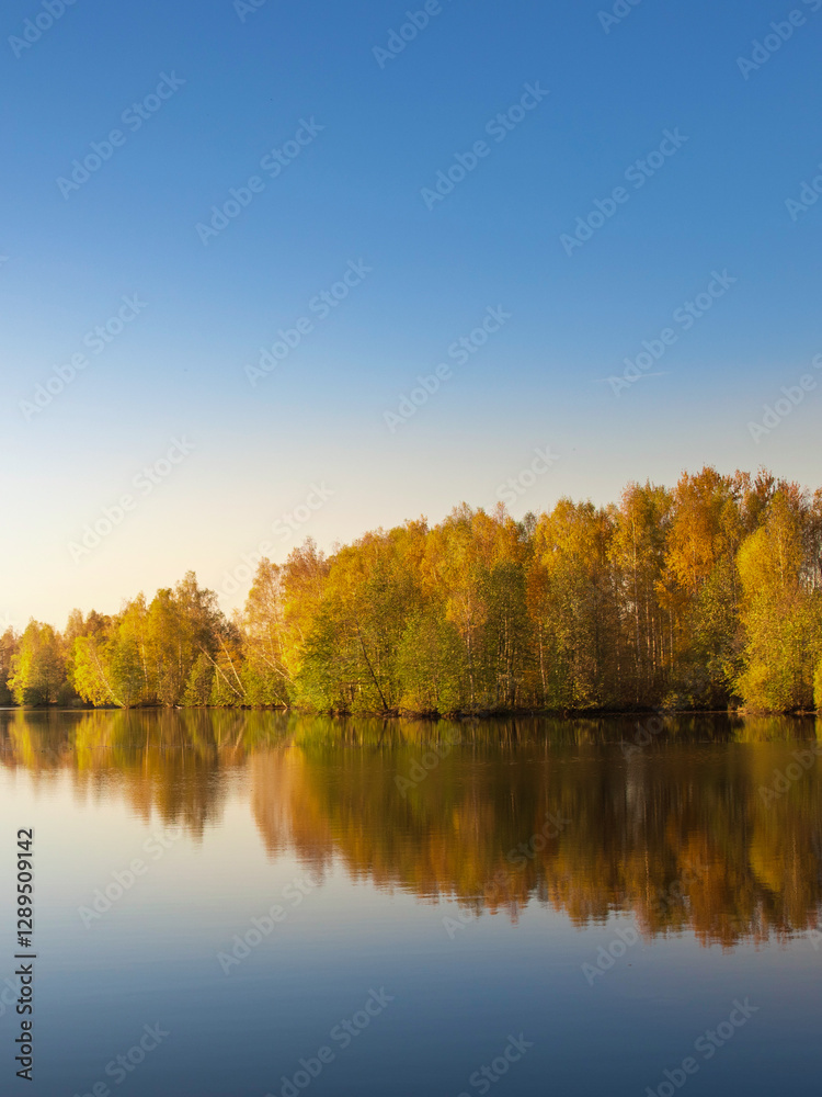 Beautiful lake with trees in the background Beautiful lake with trees in the background