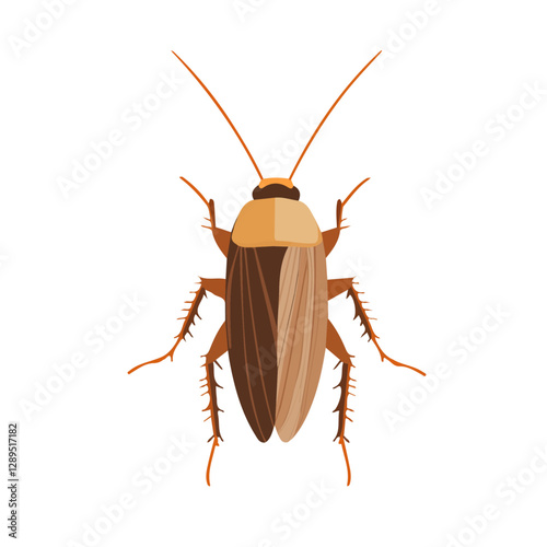 Minimalist flat illustration of Cockroach, featuring a clean design isolated on a white background.

