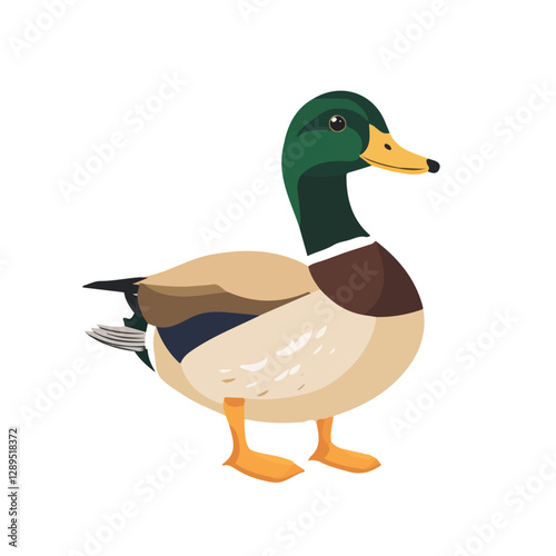 Minimalist flat illustration of Duck, featuring a clean design isolated on a white background.

