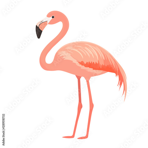 Minimalist flat illustration of Flamingo, featuring a clean design isolated on a white background.

