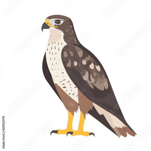 Minimalist flat illustration of Hawk, featuring a clean design isolated on a white background.

