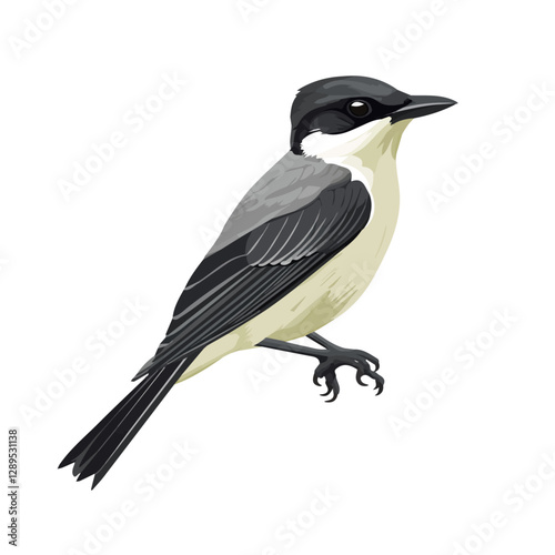 Minimalist flat illustration of Kingbird, featuring a clean design isolated on a white background.

