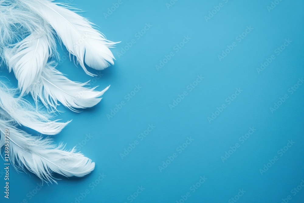 Obraz premium 青い背景に白い羽毛が並ぶ美しいディスプレイ