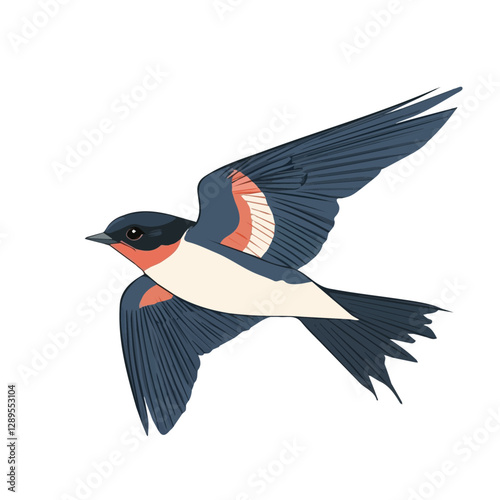 Minimalist flat illustration of Swallow, featuring a clean design isolated on a white background.

