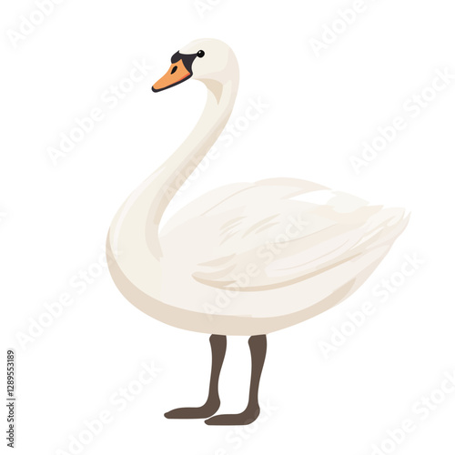 Minimalist flat illustration of Swan, featuring a clean design isolated on a white background.

