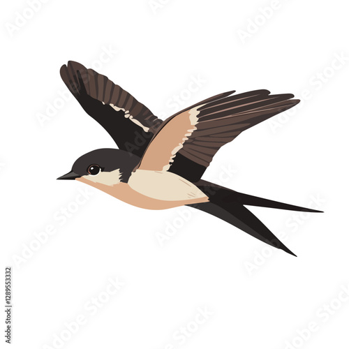 Minimalist flat illustration of Swiftlet, featuring a clean design isolated on a white background.

 photo