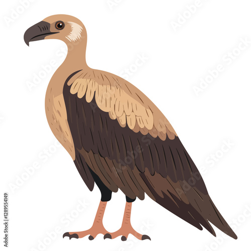 Minimalist flat illustration of Vulture, featuring a clean design isolated on a white background.

