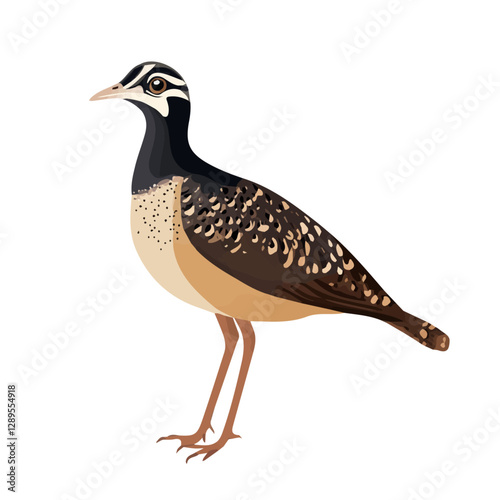 Minimalist flat illustration of Woodcock, featuring a clean design isolated on a white background.

