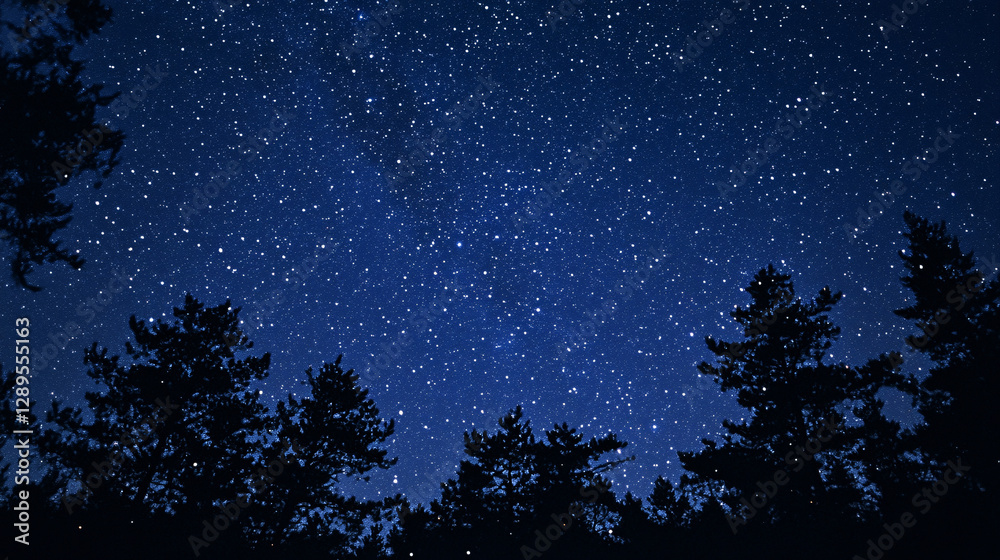 Naklejka premium A peaceful starry night with countless glowing stars above the dark silhouettes of towering trees in the forest 