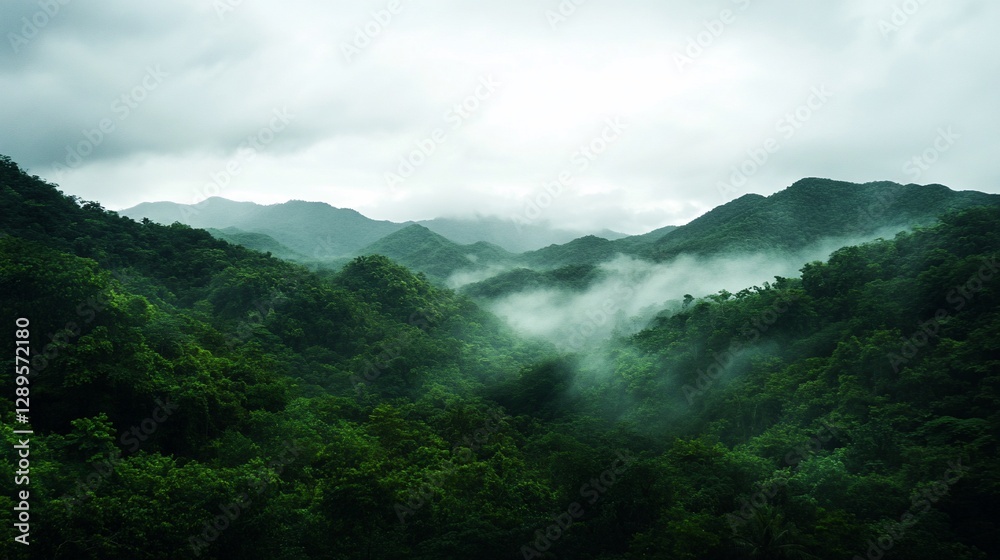 Obraz premium Misty green mountainscape, lush foliage, rolling hills, tranquil atmosphere.
