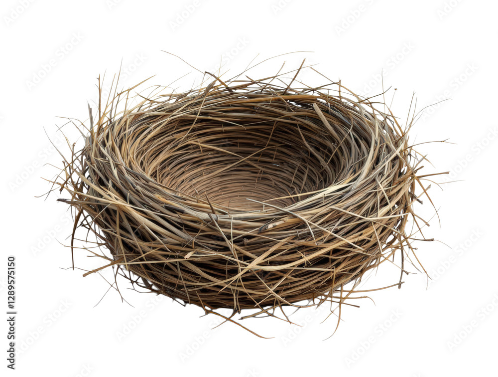 Intricate and Natural Bird's Nest Crafted from Twigs, Symbolizing Home and Nature's Artistry, Perfect for Rustic and Eco-Friendly Decor, Isolated on Transparent and White Background Intricate and Natural Bird's Nest Crafted from Twigs, Symbolizing Home and Nature's Artistry, Perfect for Rustic and Eco-Friendly Decor, Isolated on Transparent and White Background