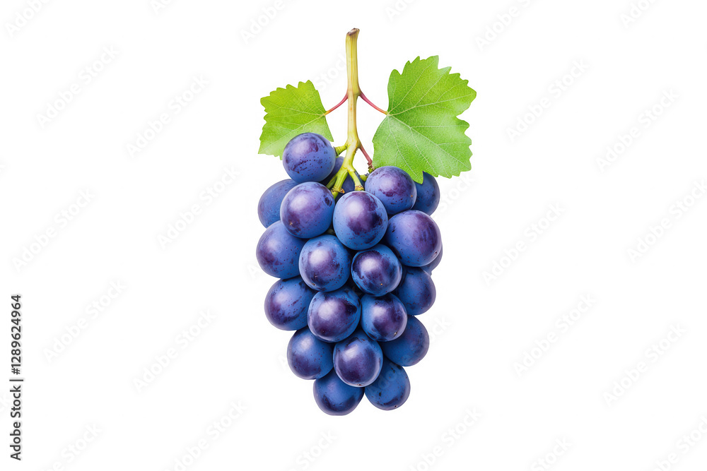 Cluster of ripe grapes with vibrant purple color against a white background showcasing detailed texture and freshness perfect for culinary uses, health benefits, and artistic presentation Cluster of ripe grapes with vibrant purple color against a white background showcasing detailed texture and freshness perfect for culinary uses, health benefits, and artistic presentation