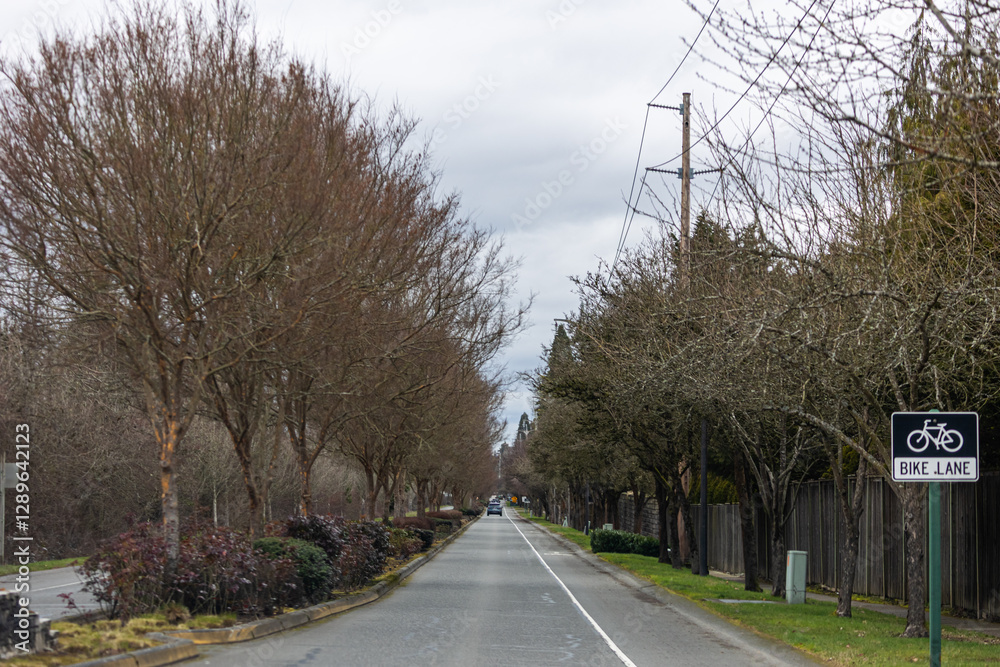 Driving Through Bellevue Washington Neighborhoods Driving Through Bellevue Washington Neighborhoods