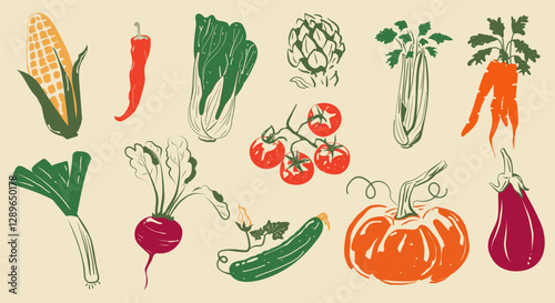 A set of various hand-drawn vegetables. Corn, chili pepper, Peking cabbage, artichoke, celery, carrot, eggplant, pumpkin, tomato, cucumber, beetroot, leek. Vector illustration