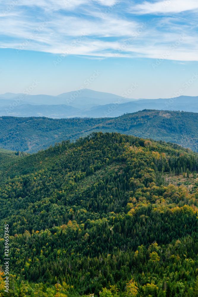 Fototapeta premium autumn landscape with mountains