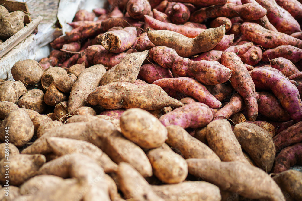 A vibrant display of sweet potatoes in various shades of brown and purple, showcasing the abundance of a bountiful harvest. Sweet Potatoes Harvest: A Colorful Abundance of Root Vegetables