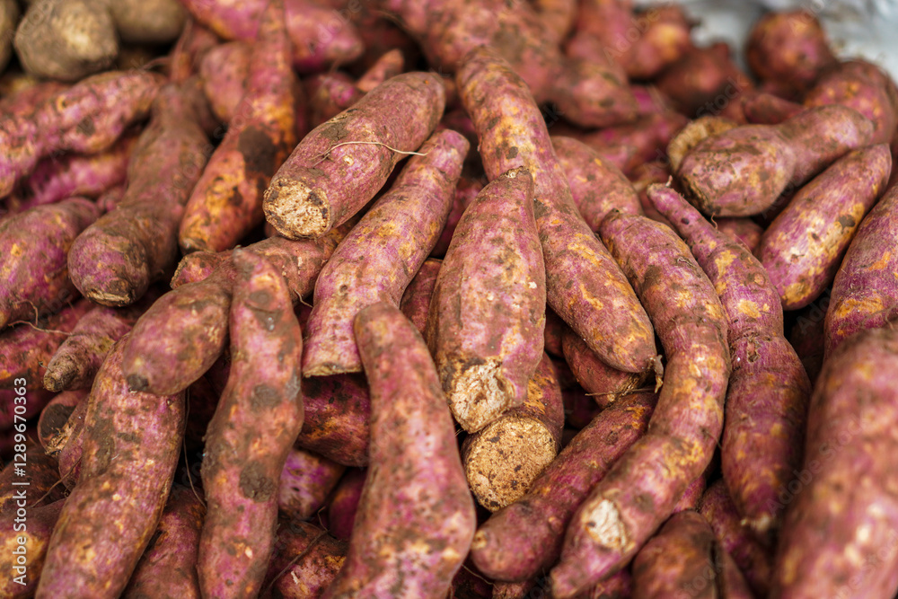 Close-up view of a pile of sweet potatoes at a market, showcasing their rich colors and earthy texture. A beautiful representation of fresh produce. Close up sweet potatoes backgrounds. Close-up view of a pile of sweet potatoes at a market, showcasing their rich colors and earthy texture. A beautiful representation of fresh produce. Close up sweet potatoes backgrounds.