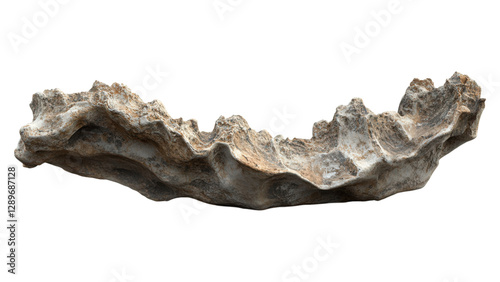 Obraz na płótnie Fossilized Dinosaur Bone Display, intricately detailed, showcased on a clean white surface, transparent background, educational and scientific focus w salonie