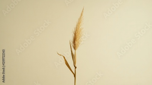 Obraz na płótnie Single Tall Grass Stem with Soft Golden Tips Against a Soft Neutral Background, Ideal for Nature and Minimalistic Themes w salonie
