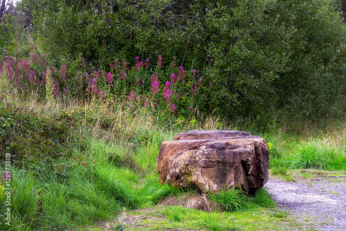 Big stone on the side of a path in summer